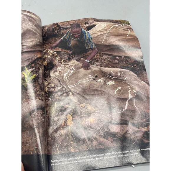 National Geographic Magazine Blood Ivory killing elephants Sky Caves Nepal READ - Picture 3 of 4